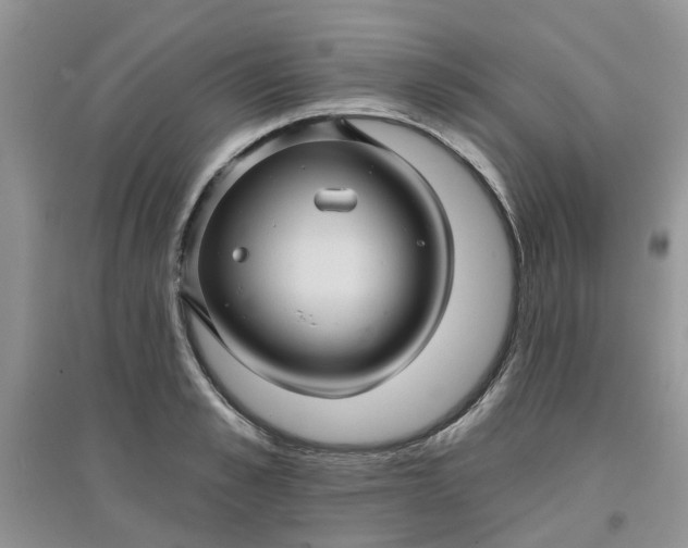 X0000097650989200803142106