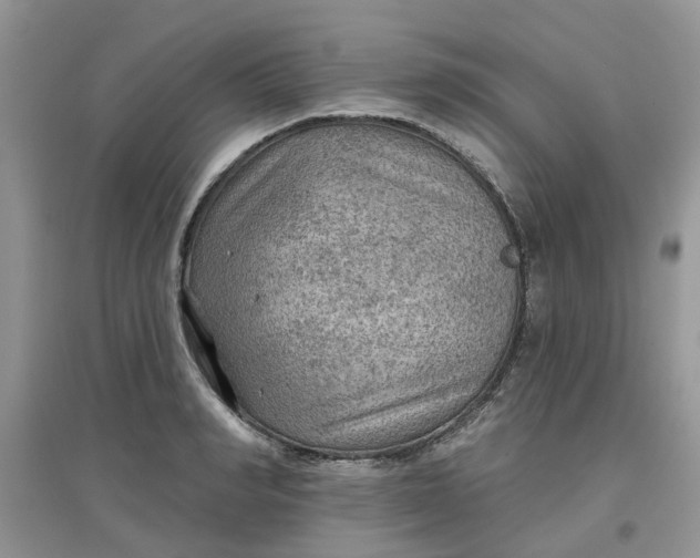 X0000097650990200803142106