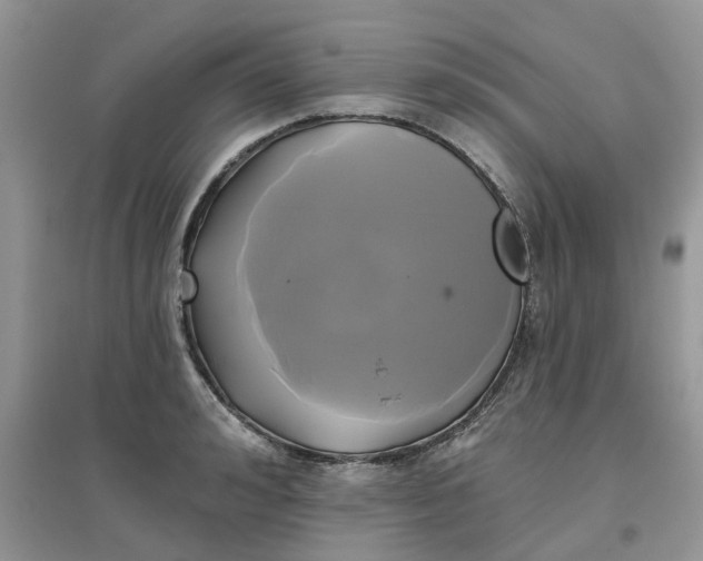 X0000097650992200803142106