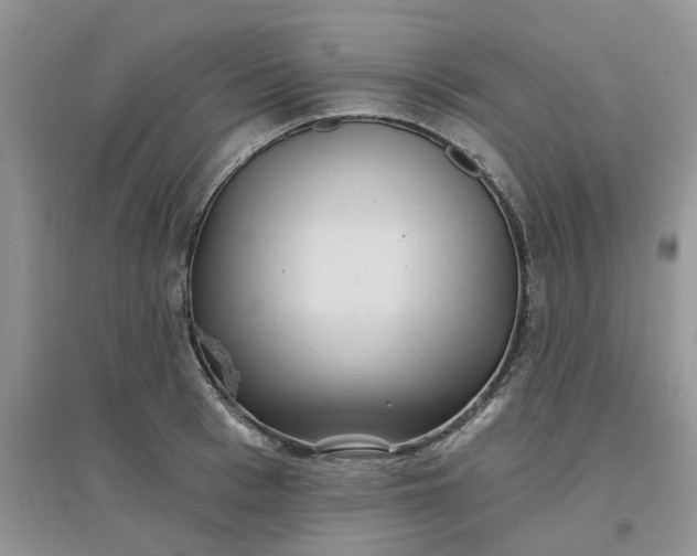 X0000097650993200803142106