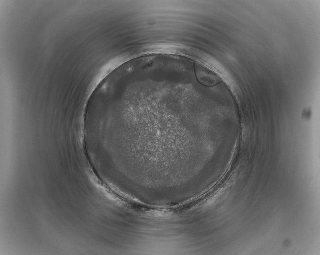 X0000097650994200803142106