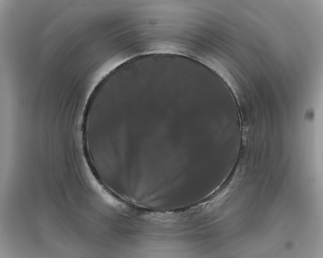 X0000097650995200803142106