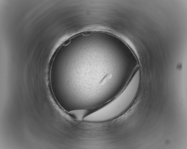 X0000097650997200803142106