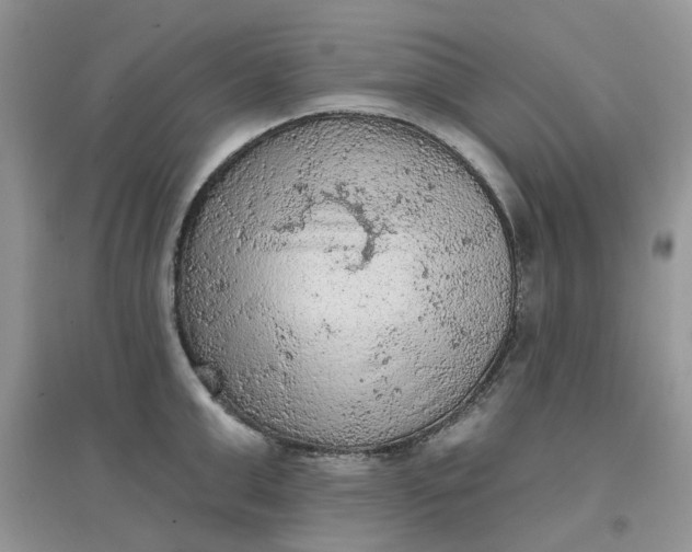 X0000097650999200803142106