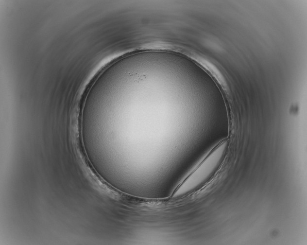 X0000097651000200803142106