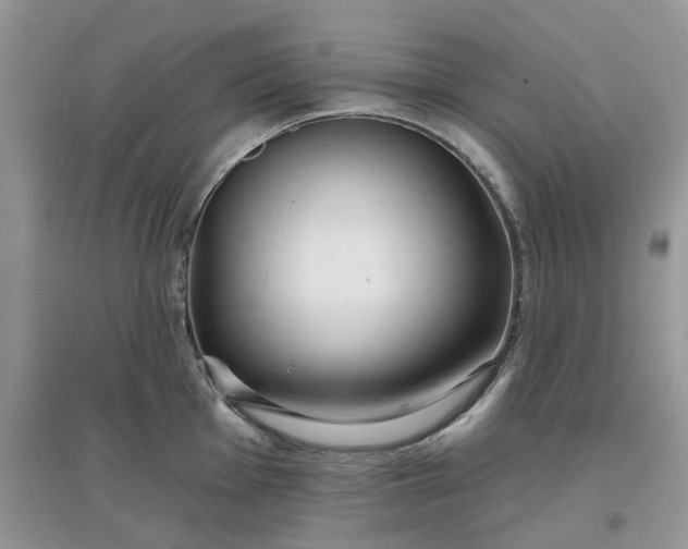 X0000097651001200803142106