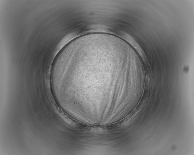 X0000097651002200803142106