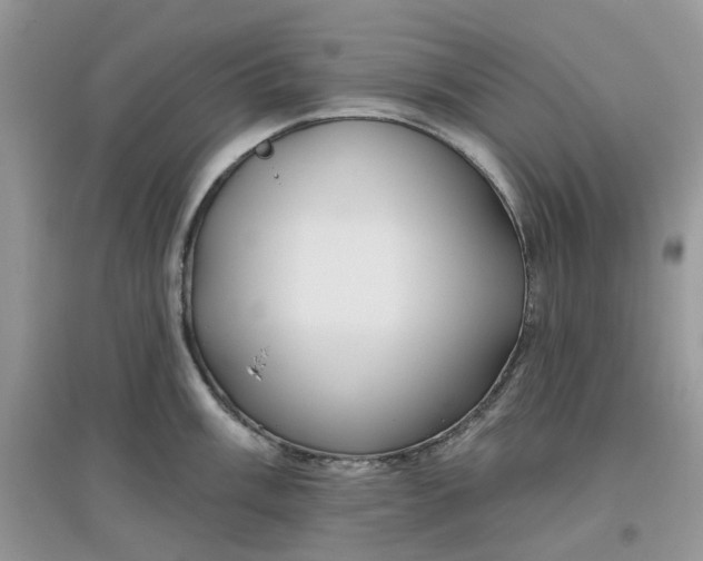 X0000097651003200803142106