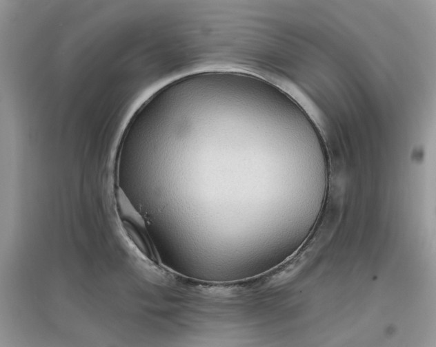 X0000097651004200803142106