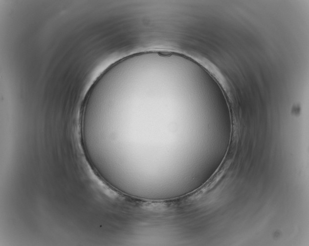 X0000097651006200803142106