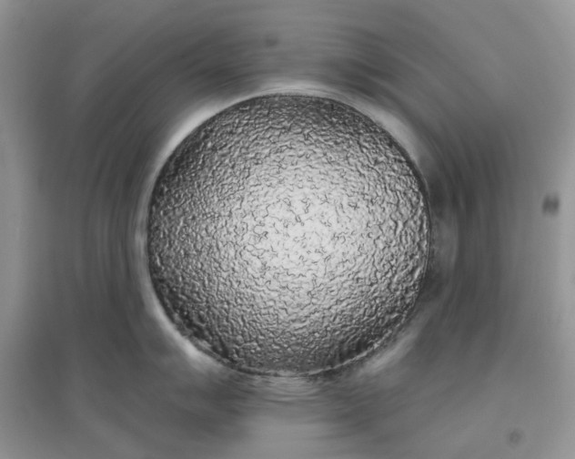 X0000097651007200803142106