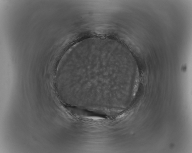 X0000097651009200803142105