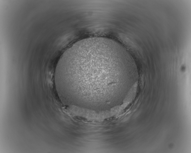 X0000097651010200803142105