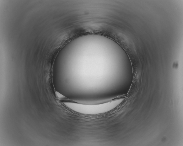 X0000097651012200803142105