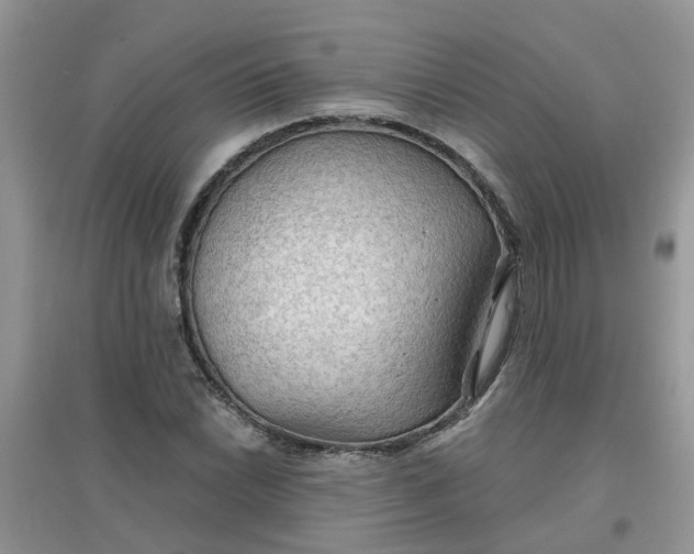 X0000097651022200803142105