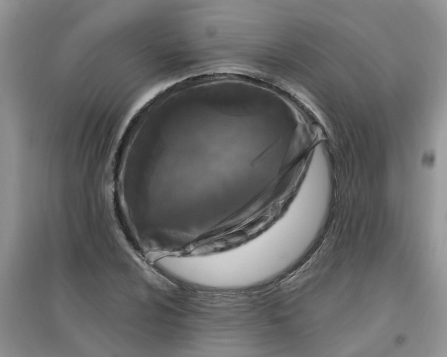 X0000097651024200803142105