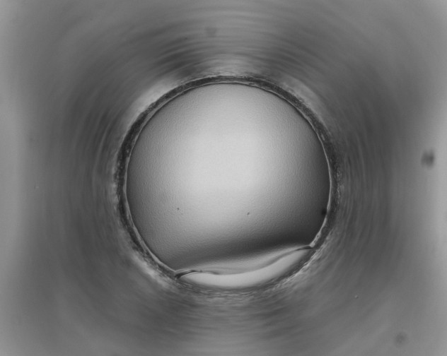 X0000097651026200803142105