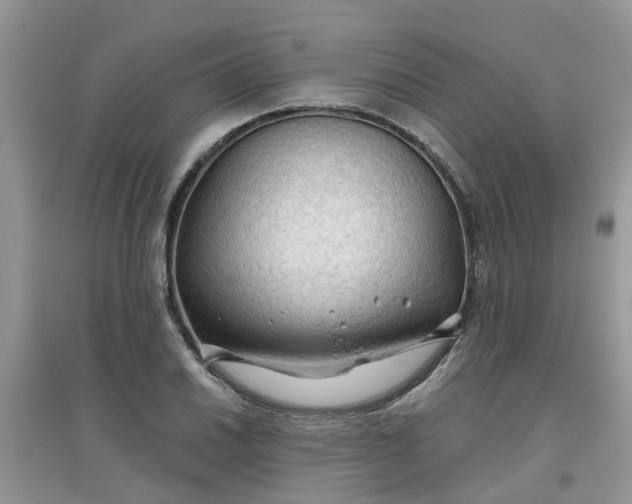 X0000097651030200803142105