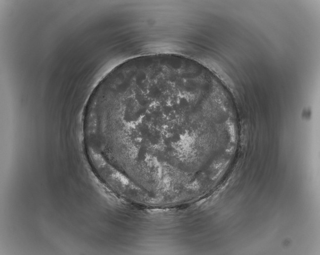 X0000097651031200803142105