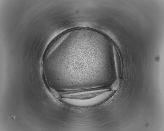 X0000097651032200803142105