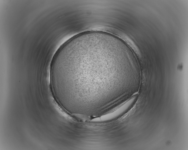 X0000097651036200803142105