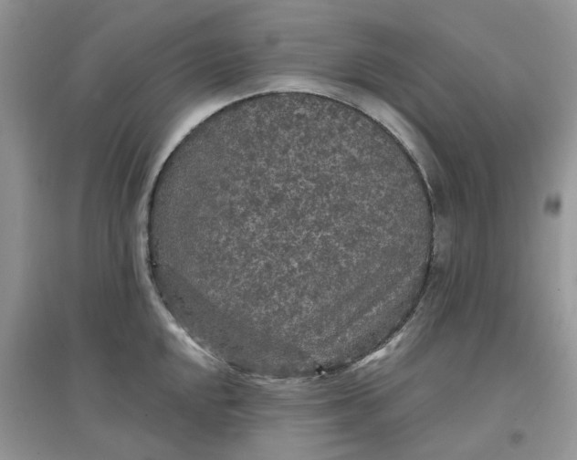 X0000097651048200803142105