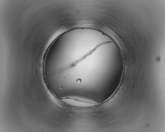 X0000097651050200803142106