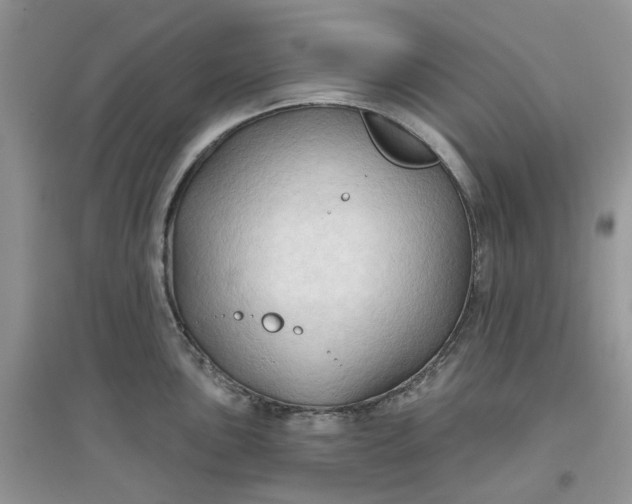 X0000097651051200803142106