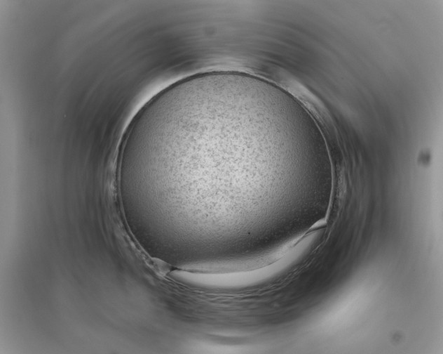 X0000097651052200803142106