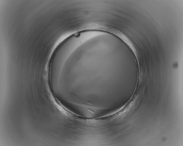 X0000097651053200803142106