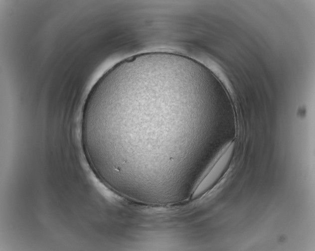 X0000097651054200803142106