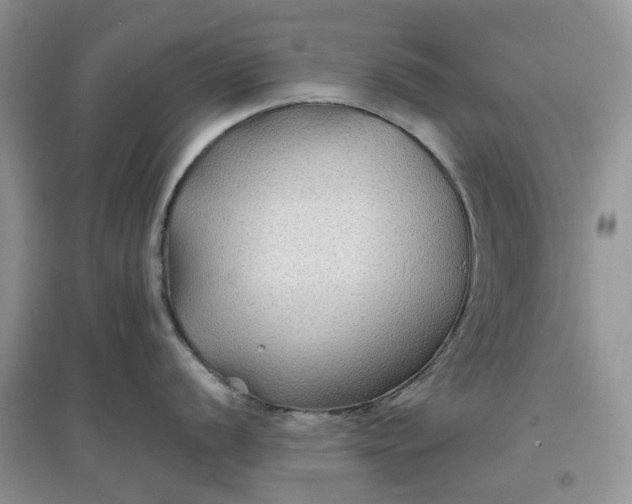 X0000097651056200803142106