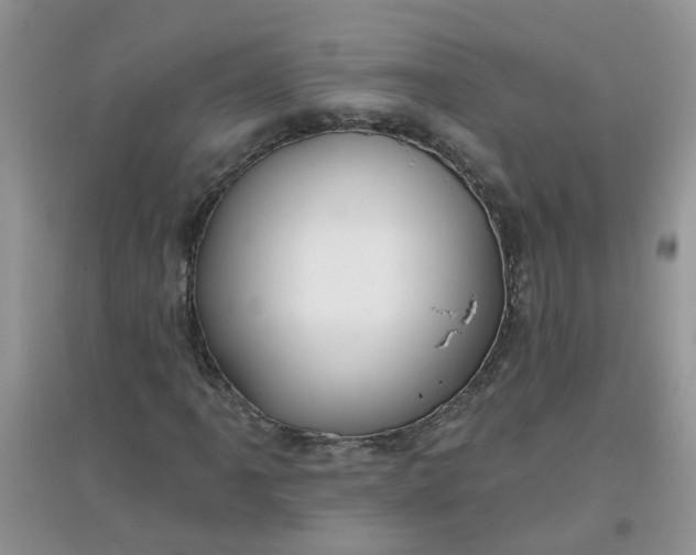 X0000097651061200803142105