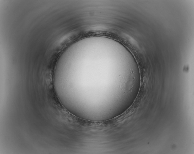 X0000097651062200803142105