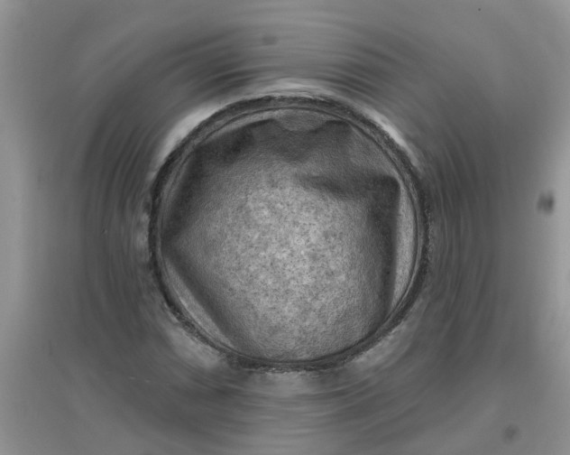 X0000097651066200803142105