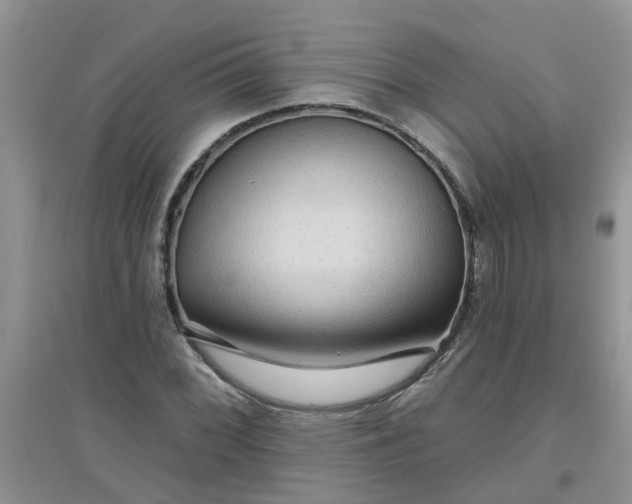 X0000097651068200803142105