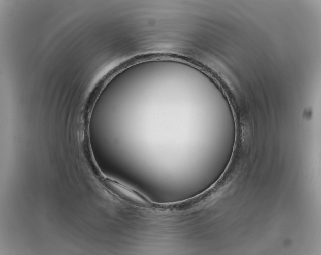 X0000097651069200803142105