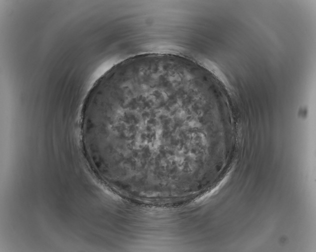 X0000097651071200803142105