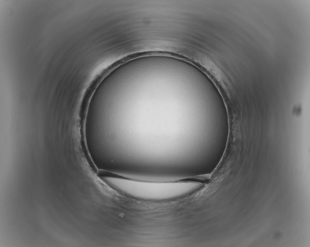 X0000097651072200803142105