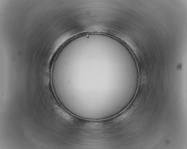 X0000097651075200803142105