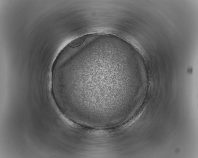 X0000097651079200803142105