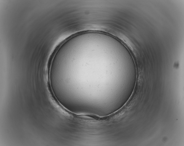 X0000097651080200803142105