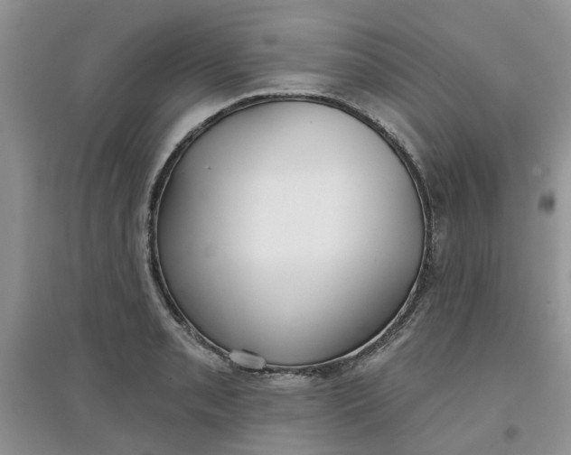 X0000097651085200803142105