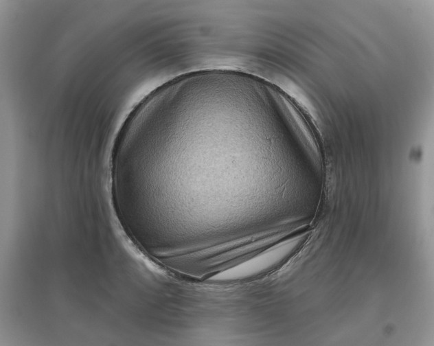 X0000097651088200803142105