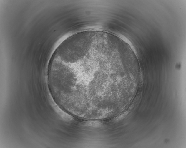 X0000097651090200803142104