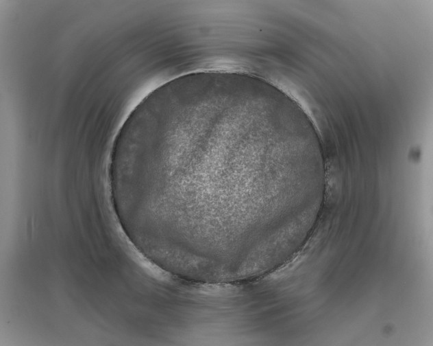 X0000097651091200803142104