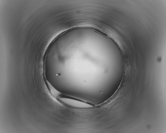 X0000097651092200803142104