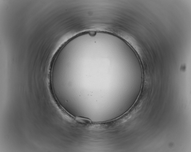 X0000097651093200803142104