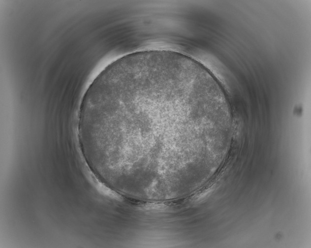 X0000097651094200803142104