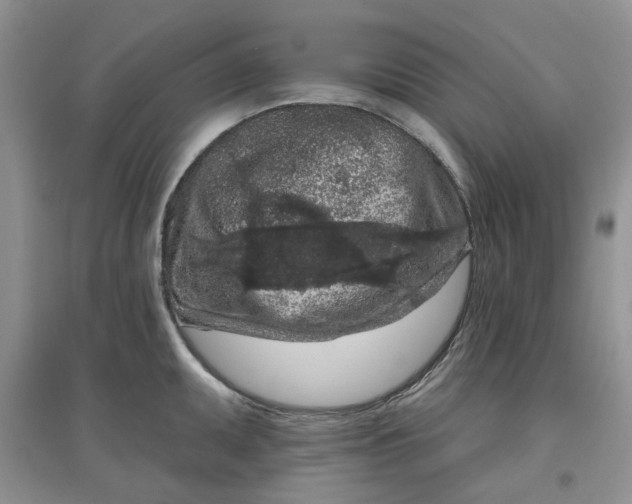 X0000097651095200803142104